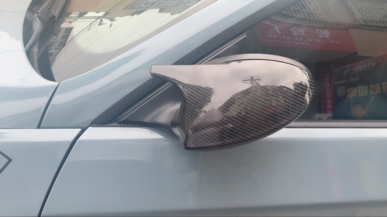 Rearview Side Mirror Cover